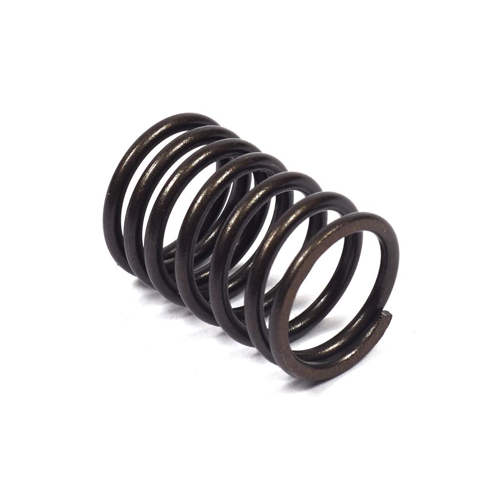 Briggs & Stratton Spring-Valve 690520