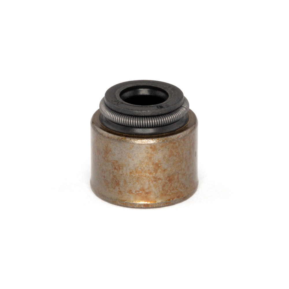 Briggs & Stratton Seal-Valve 690968