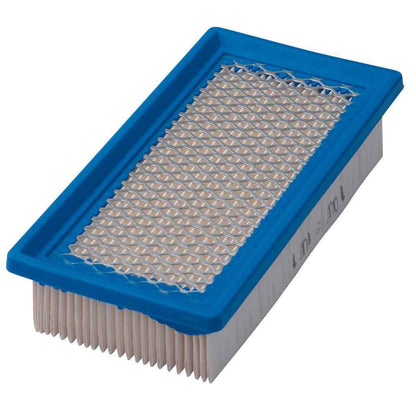 Briggs & Stratton Filter-A/C Cartridge 691643