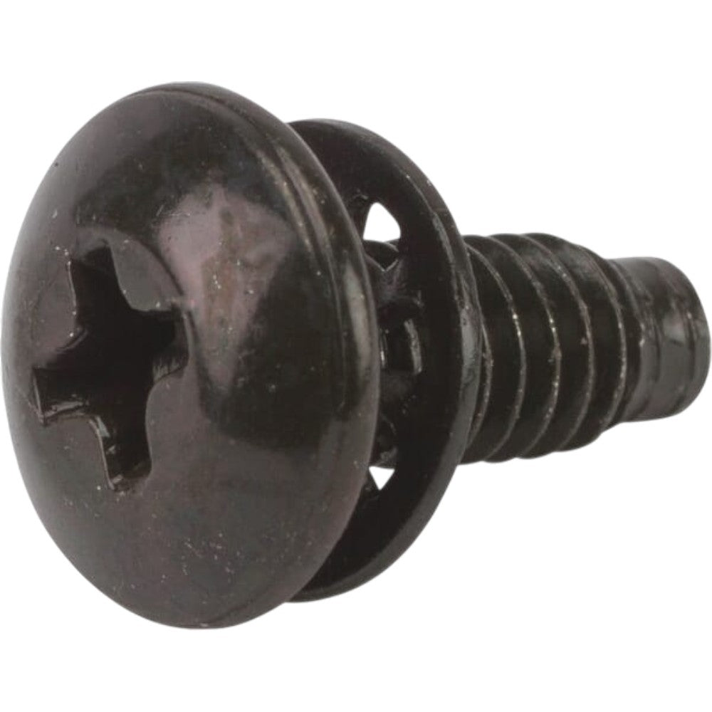 Briggs & Stratton Screw 691655