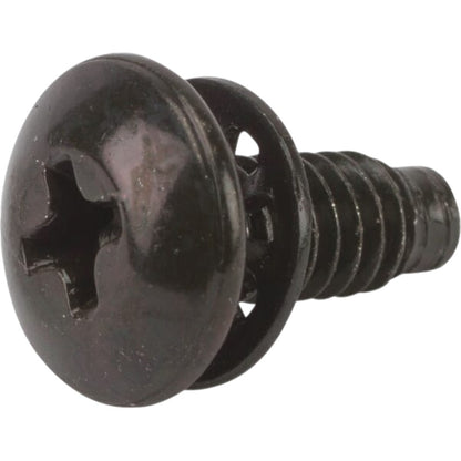 Briggs & Stratton Screw 691655