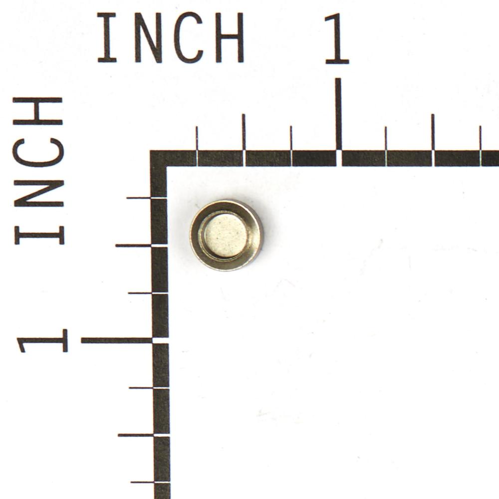 Briggs & Stratton Cap-Valve 691843
