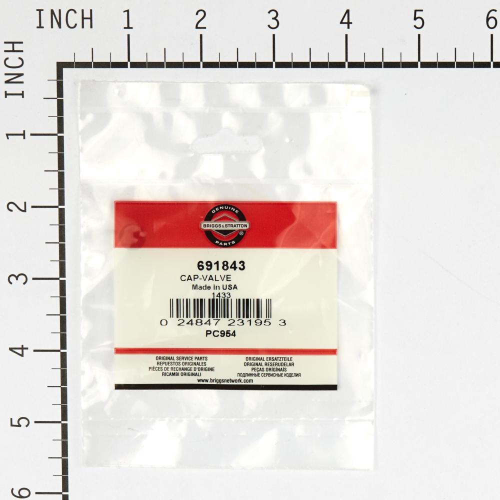 Briggs & Stratton Cap-Valve 691843