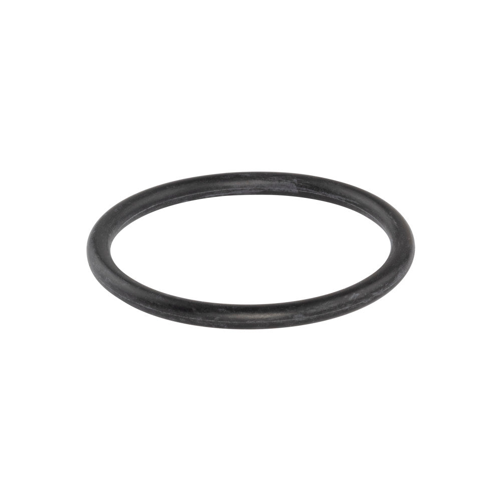 Briggs & Stratton Seal-O Ring 691870
