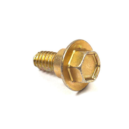 Briggs & Stratton Screw 692199