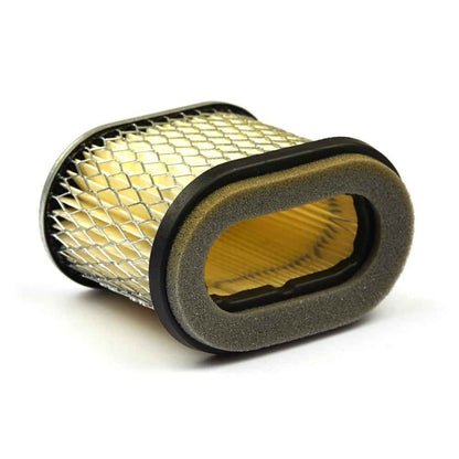 Briggs & Stratton Filter-A/C Cartridge 692446