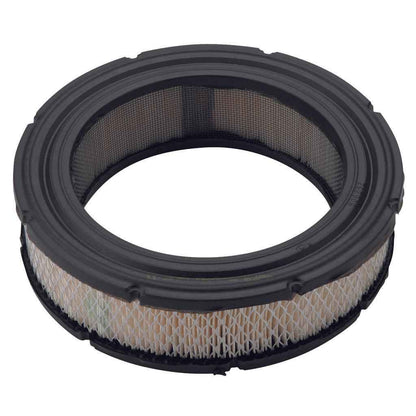 Briggs & Stratton Filter-A/C Cartridge 692519