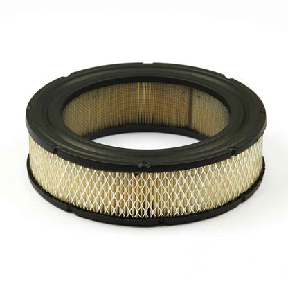 Briggs & Stratton Filter-A/C Cartridge 692519