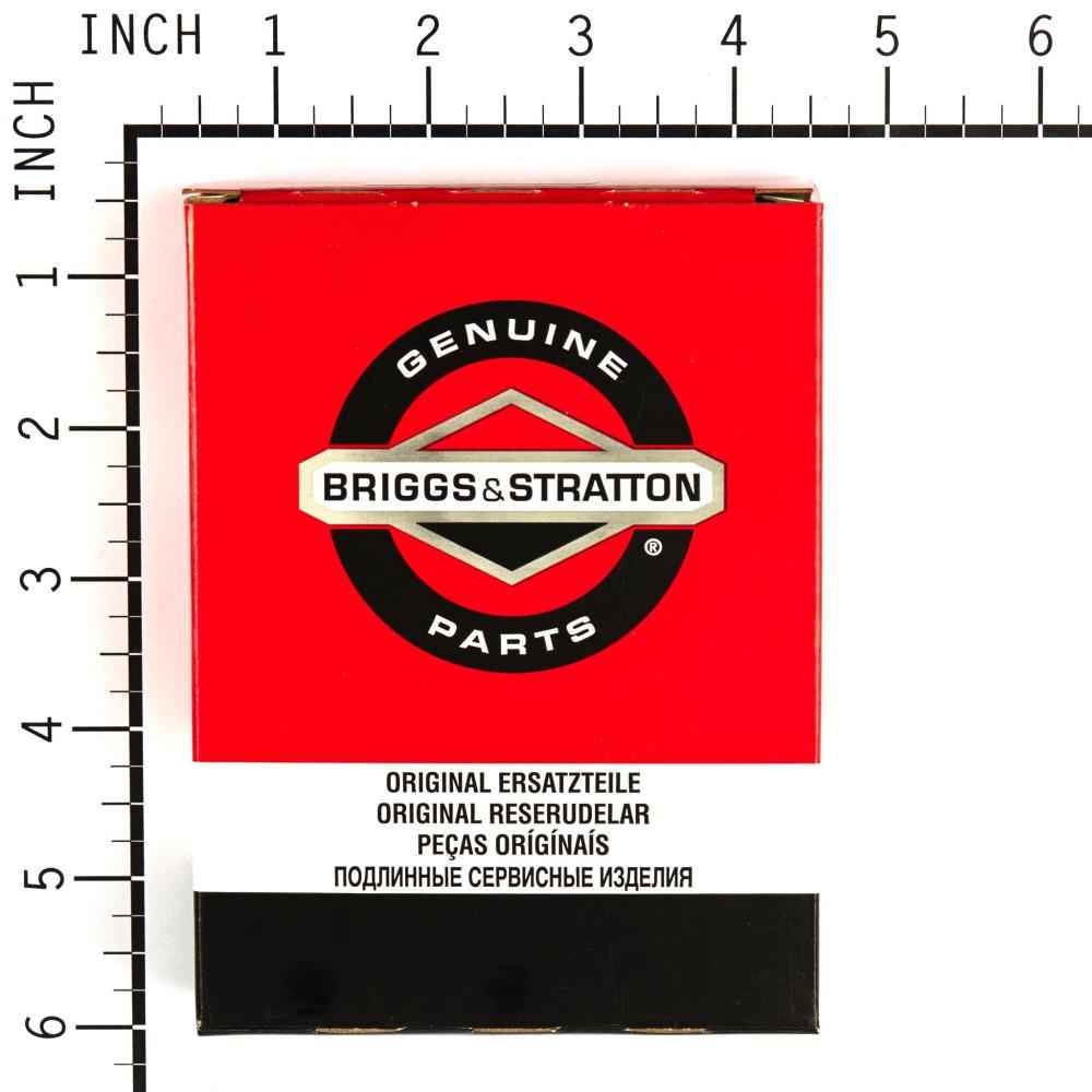 Briggs & Stratton Kit-Carb Overhaul 694056