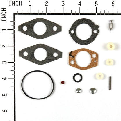 Briggs & Stratton Kit-Carb Overhaul 695157