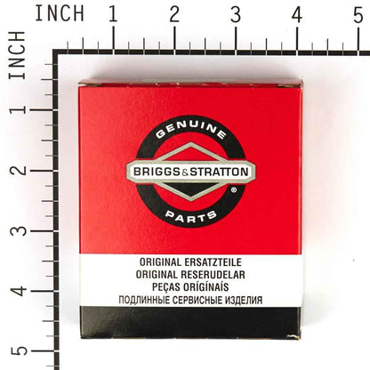 Briggs & Stratton Kit-Carb Overhaul 695157