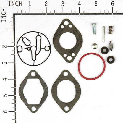 Briggs & Stratton Kit-Carb Overhaul 696146
