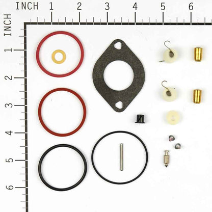Briggs & Stratton Kit-Carb Overhaul 697241