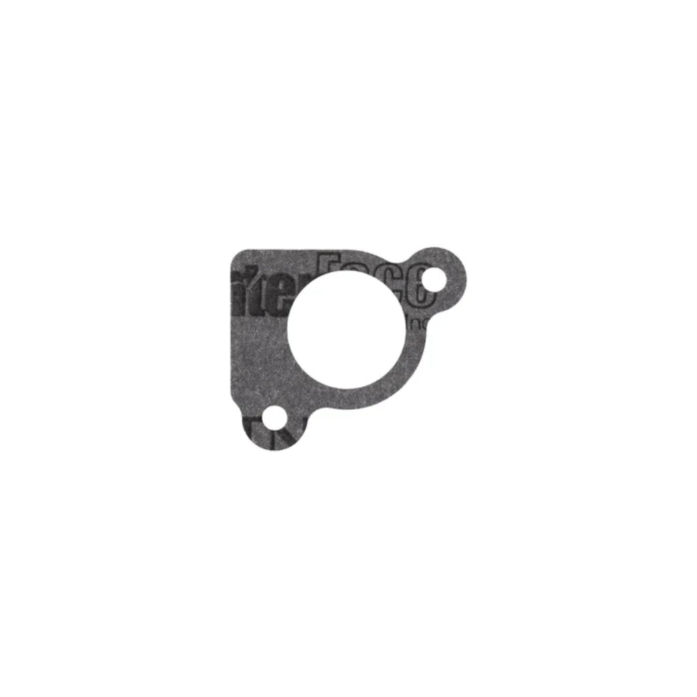 Briggs & Stratton Intake Gasket 794306