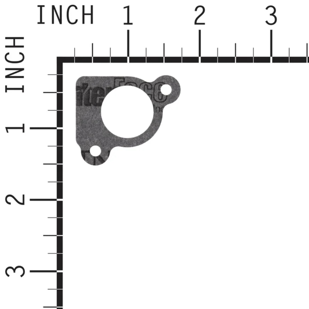 Briggs & Stratton Intake Gasket 794306