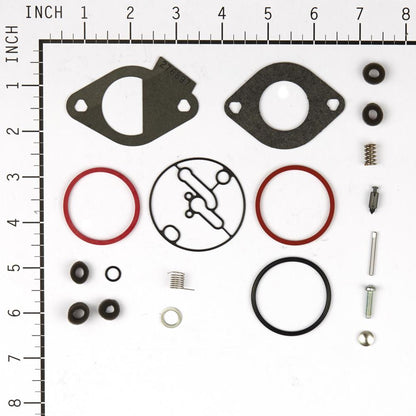 Briggs & Stratton Kit-Carb Overhaul 796184