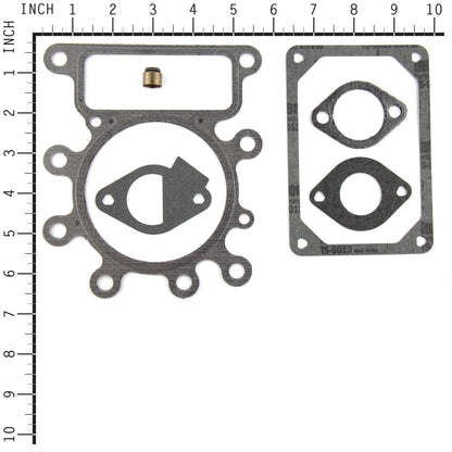 Briggs & Stratton Gasket Set-Valve 796189