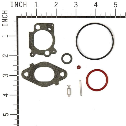 Briggs & Stratton Kit-Carb Overhaul 796612