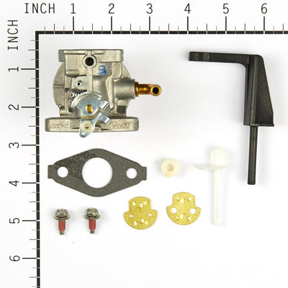 Briggs & Stratton Carburetor 798653