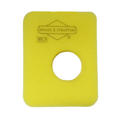Briggs & Stratton Filter-Air Cleaner Fo 799579