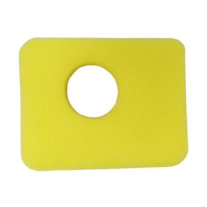 Briggs & Stratton Filter-Air Cleaner Fo 799579