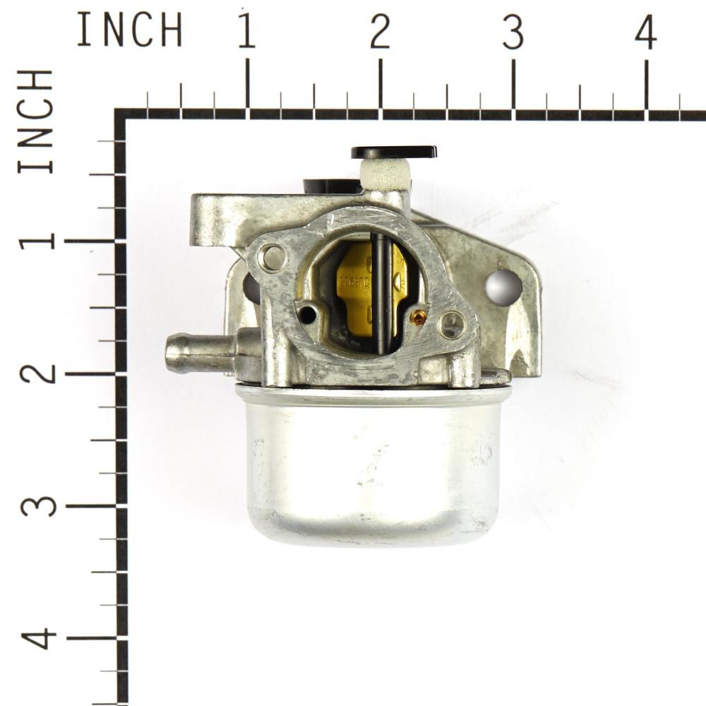 Briggs & Stratton Carburetor 799866