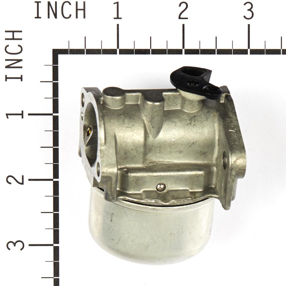 Briggs & Stratton Carburetor 799868