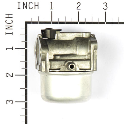 Briggs & Stratton Carburetor 799868