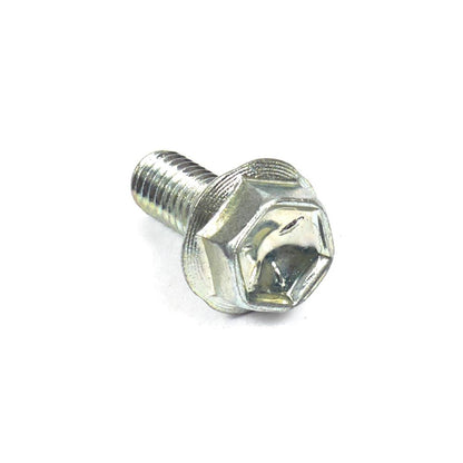 Briggs & Stratton Screw 807084