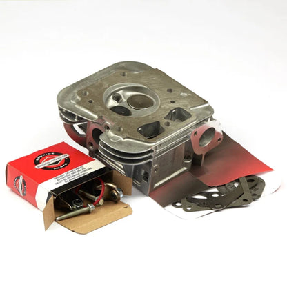 Briggs & Stratton Cylinder Head 84001919