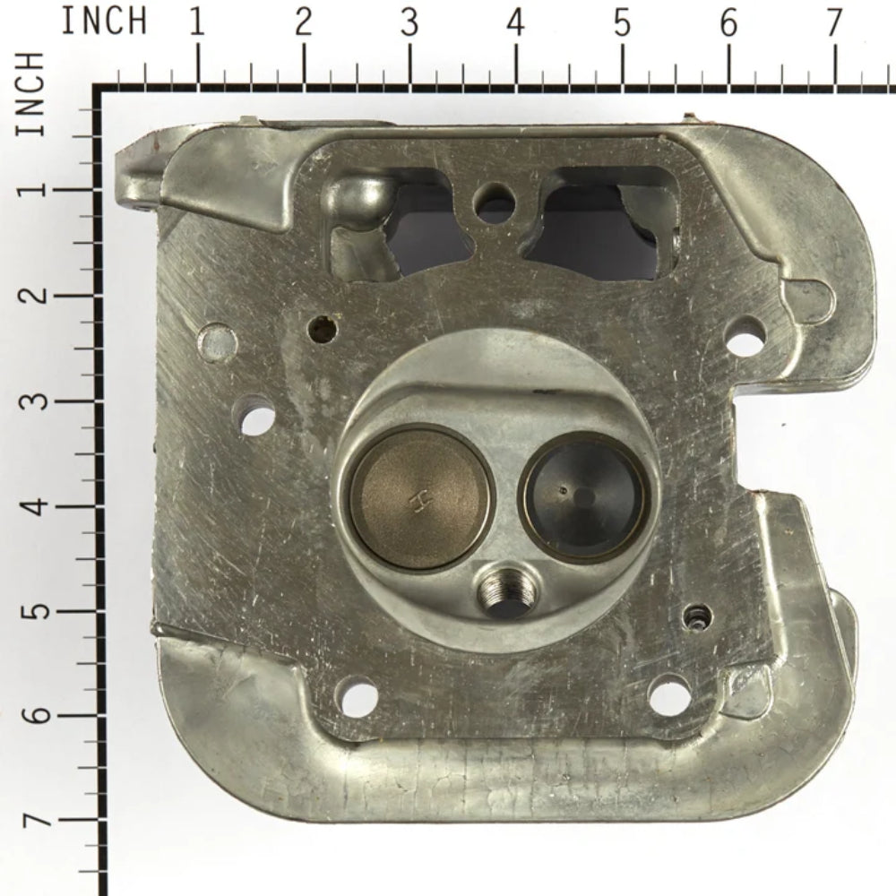 Briggs & Stratton Cylinder Head 84001919
