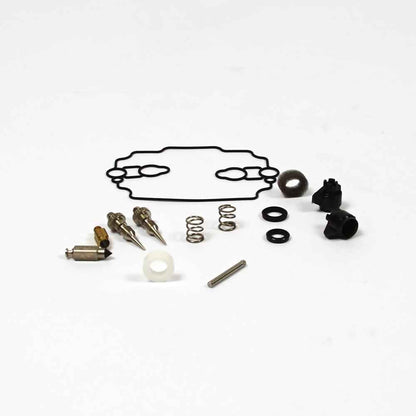 Briggs & Stratton Kit-Carb Overhaul 842873