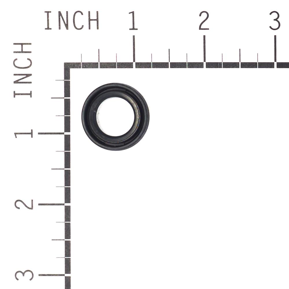Briggs & Stratton Seal-Oil 93680GS