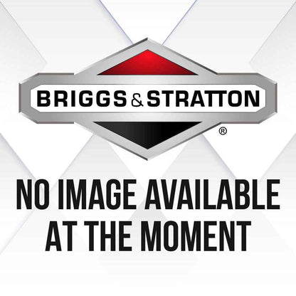 Briggs & Stratton Kit-Carb Overhaul 695157.