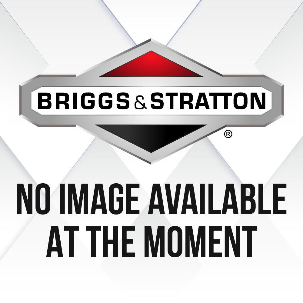 Briggs & Stratton Screw Driver-Jet 19061.