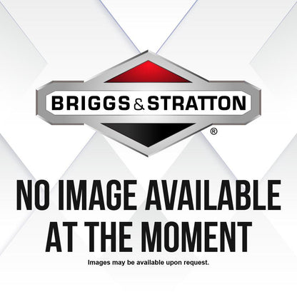 Briggs & Stratton Nut Whiz 1/4 -20 Wash Face 900455.