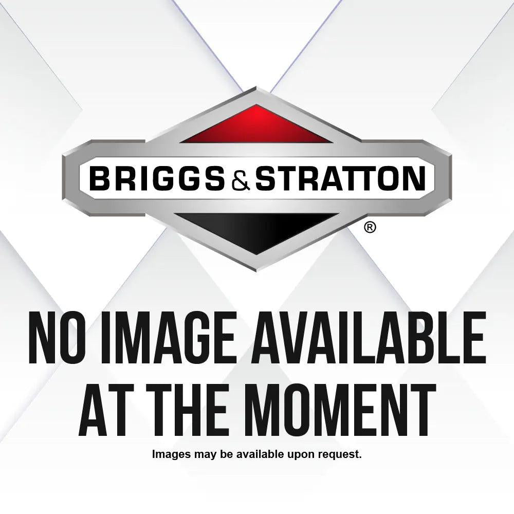 Briggs & Stratton P/C-Filter (6 X 272490S) 4111.