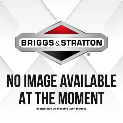 Briggs & Stratton P/C-Filter (6 X 272490S) 4111.