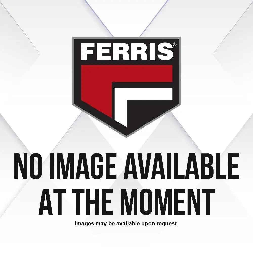 Ferris Cleaner-Air 809670.