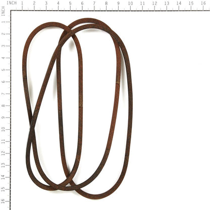 Oregon AYP Belt (429636, 1/2" x 101-1/2") 15-023