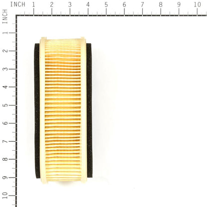 Oregon Kawasaki Air Filter 30-321