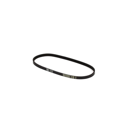 Oregon Snapper Belt (3/8" x 22") 75-354
