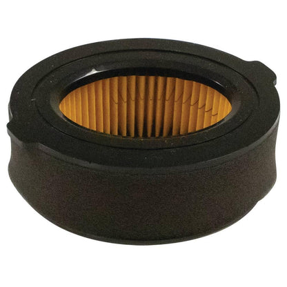 Stens Air Filter Combo 100-010