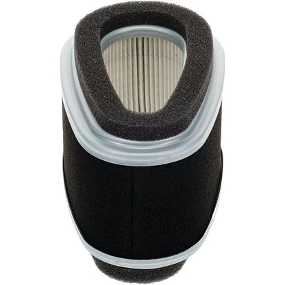 Stens Air Filter Combo 100-044