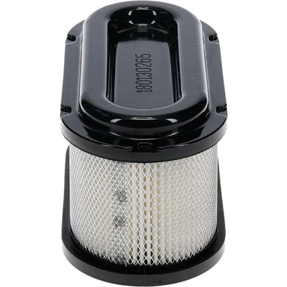 Stens Air Filter 100-162