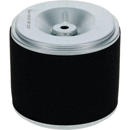 Stens Air Filter Combo 100-818