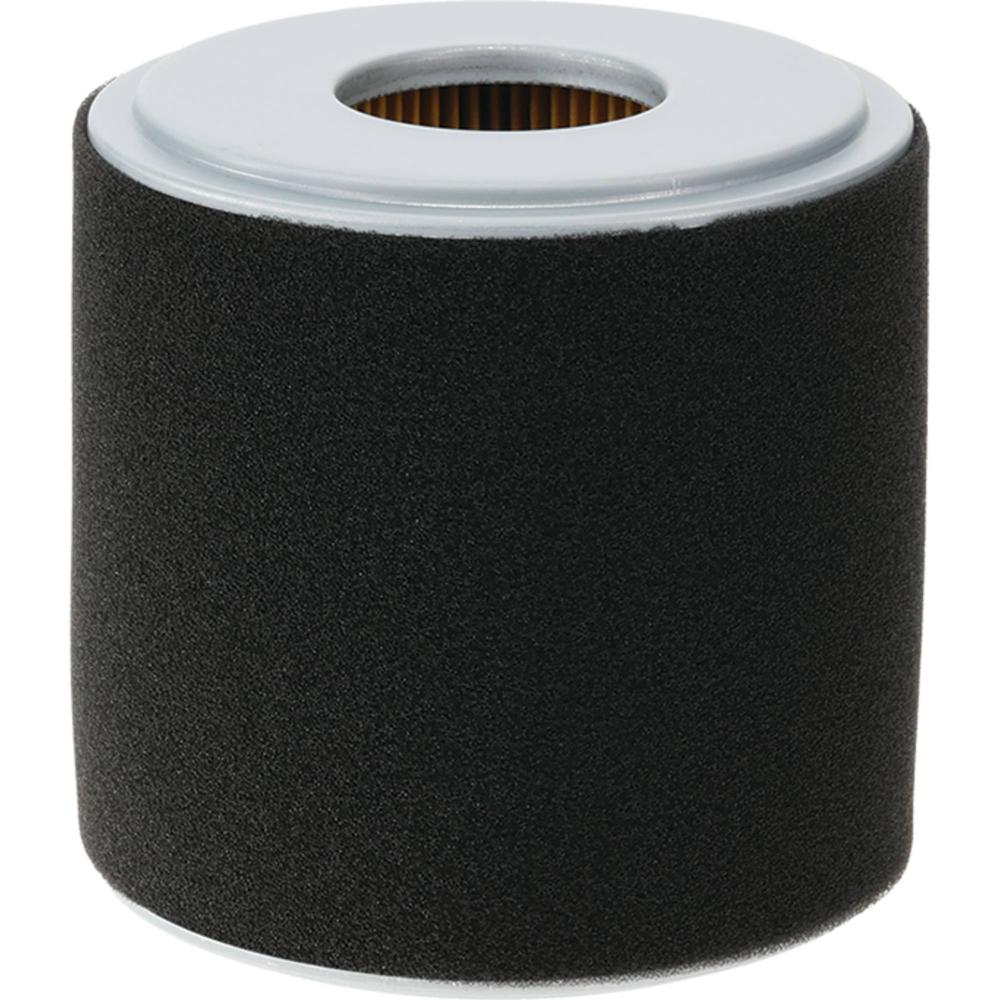 Stens Air Filter Combo 100-901