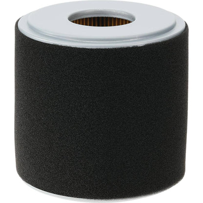 Stens Air Filter Combo 100-901