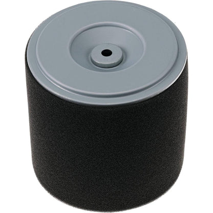 Stens Air Filter Combo 100-901
