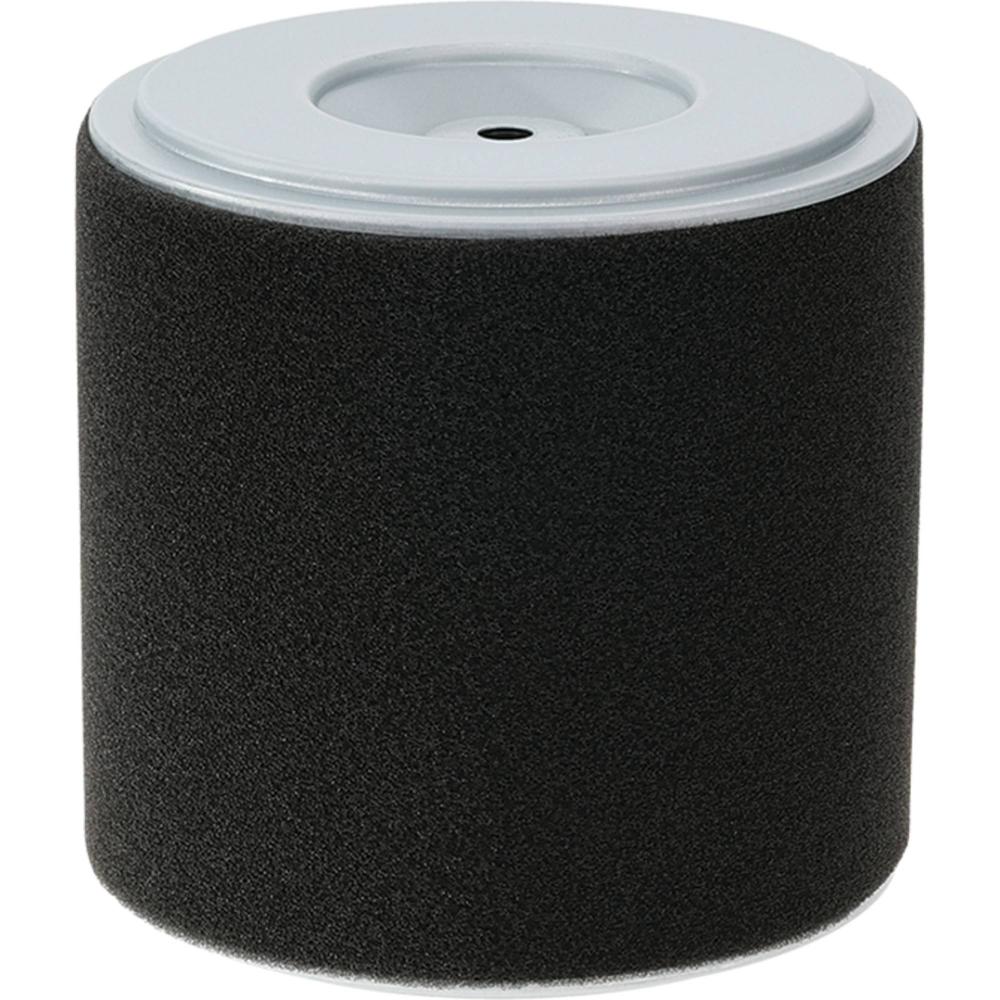 Stens Air Filter Combo 100-901